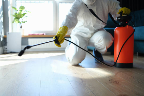Reliable Odor Removal contractor in Patrick AFB, FL by Dulley Family Biohazard Services